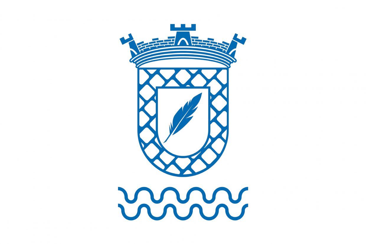 Logótipo CSFSE - símbolo