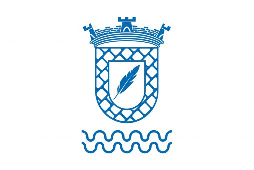 Logótipo CSFSE - símbolo